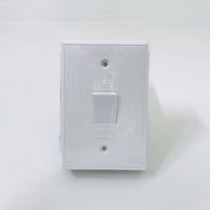 Lesco 30A double pole isolator 2x4 White